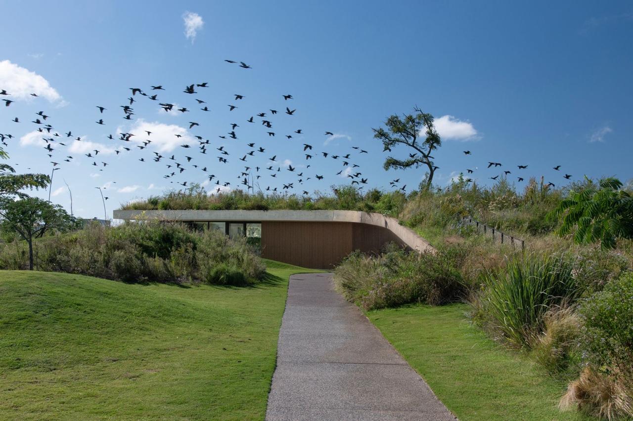 Cuando el terreno se sube a la arquitectura